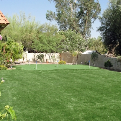 Plastic Grass Hughson, California Outdoor Putting Green, Backyard Designs