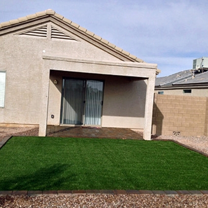 Plastic Grass Keyes, California Dog Hospital, Backyard Makeover