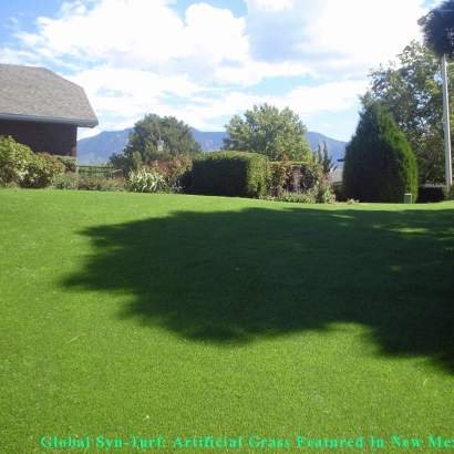 Synthetic Grass Cost Ceres, California Dog Parks, Backyard Ideas