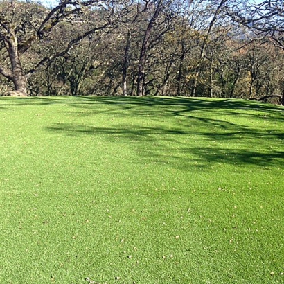 Synthetic Grass Cost Valley Home, California City Landscape, Parks