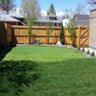 Synthetic Grass Keyes, California Garden Ideas, Backyard Landscape Ideas