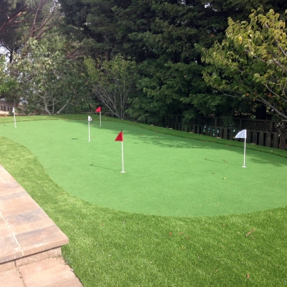 Synthetic Grass Oakdale, California Putting Green Carpet, Backyard Landscape Ideas