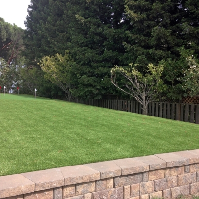 Synthetic Grass Riverbank, California Rooftop, Backyard