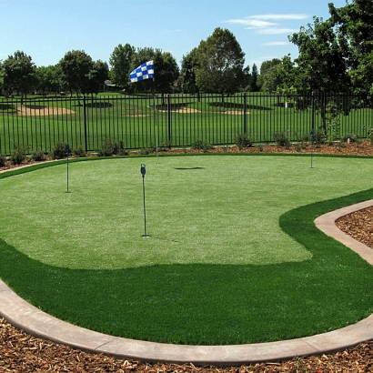 Synthetic Grass West Modesto, California Landscaping Business, Backyards