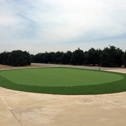 Synthetic Grass Westley, California Home Putting Green, Front Yard Design