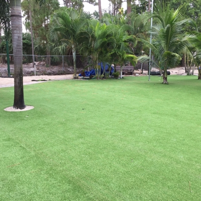 Synthetic Lawn Crows Landing, California Gardeners, Commercial Landscape