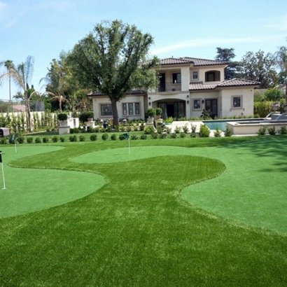 Synthetic Lawn Empire, California Gardeners, Front Yard Ideas