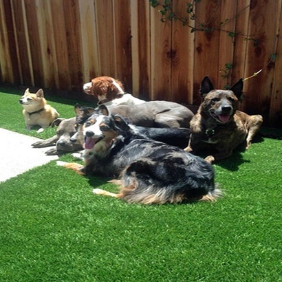 Synthetic Lawn Oakdale, California Fake Grass For Dogs, Backyard Landscaping Ideas