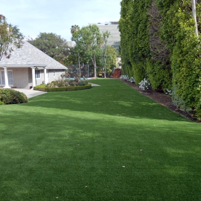 Synthetic Lawn Riverdale Park, California Dog Running, Small Front Yard Landscaping