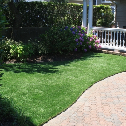 Synthetic Lawn Waterford, California Grass For Dogs, Front Yard Landscaping Ideas