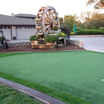 Synthetic Turf Patterson, California Outdoor Putting Green, Front Yard Landscaping Ideas