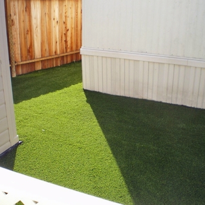 Synthetic Turf Shackelford, California Pictures Of Dogs, Backyard Landscaping Ideas