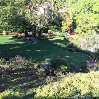 Synthetic Turf Supplier Patterson, California Landscaping Business, Backyard Garden Ideas