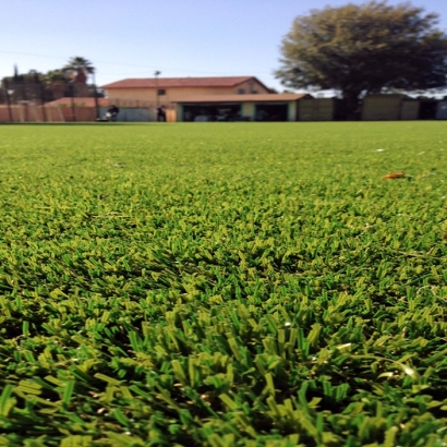 Synthetic Turf Supplier Riverdale Park, California Lawn And Landscape