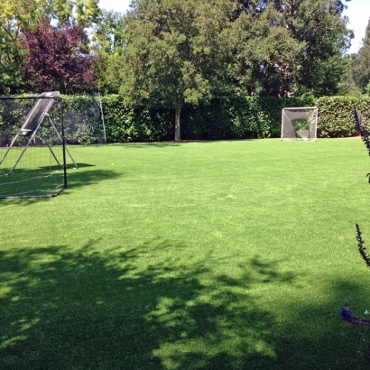 Synthetic Turf Supplier Waterford, California Design Ideas, Backyard Ideas