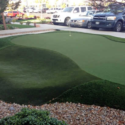 Synthetic Turf Supplier Westley, California Lawn And Landscape, Commercial Landscape