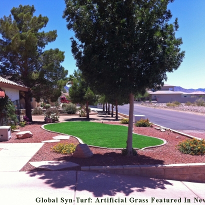 Synthetic Turf West Modesto, California Landscape Ideas, Front Yard Landscape Ideas