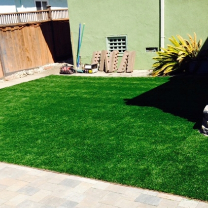 Turf Grass Turlock, California Dogs, Backyard Landscape Ideas