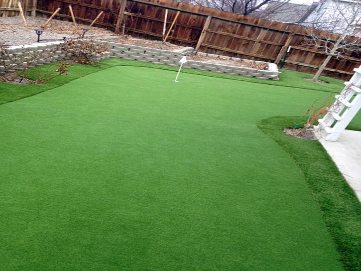 Artificial Grass Carpet Grayson, California Landscaping Business, Backyards