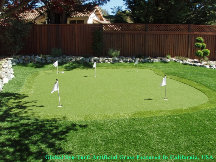 Artificial Grass Carpet Keyes, California Paver Patio, Backyard Landscape Ideas