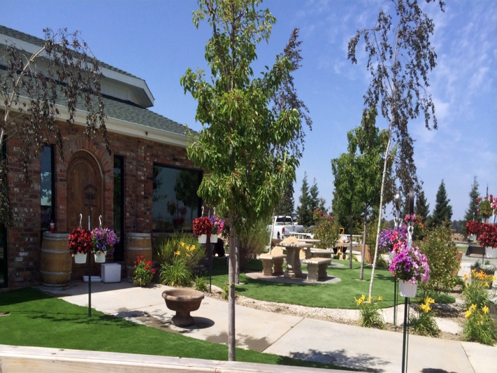 Artificial Grass Carpet Riverbank, California Landscaping Business, Commercial Landscape