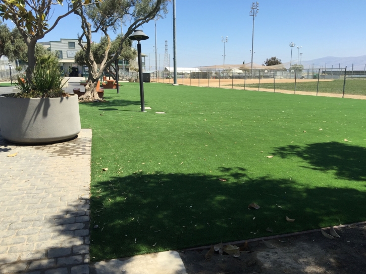 Artificial Grass Carpet Riverbank, California Backyard Deck Ideas, Parks