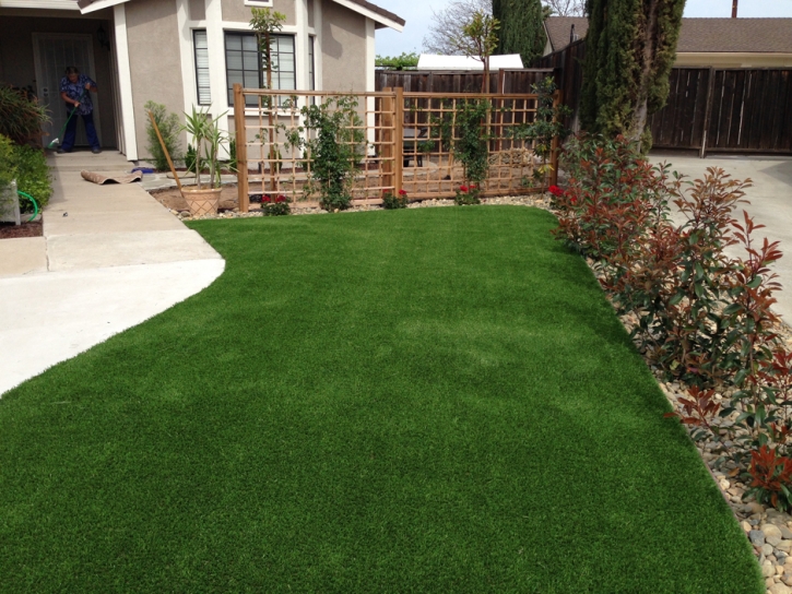 Artificial Grass Hickman, California Home And Garden, Front Yard Landscaping Ideas