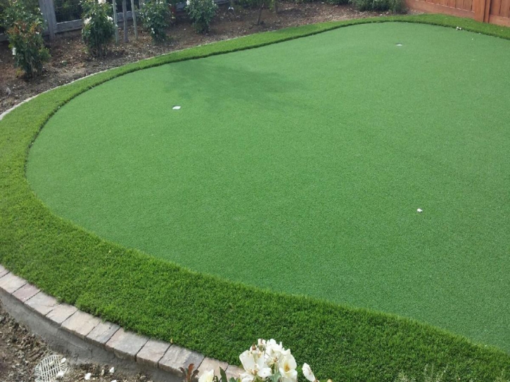 Artificial Grass Modesto, California How To Build A Putting Green, Backyard Garden Ideas