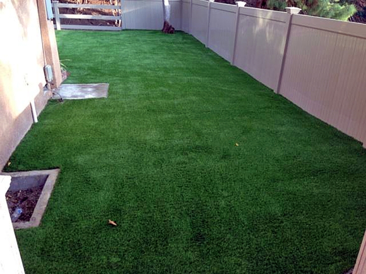 Artificial Grass Newman, California Hotel For Dogs, Backyard Designs