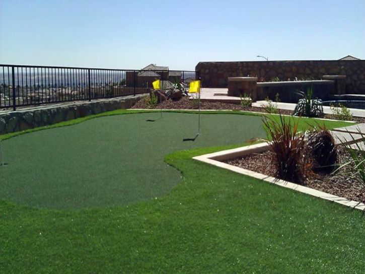 Artificial Lawn Crows Landing, California Landscape Ideas