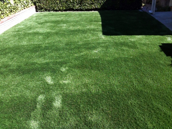 Artificial Lawn Keyes, California Cat Grass, Backyard Designs