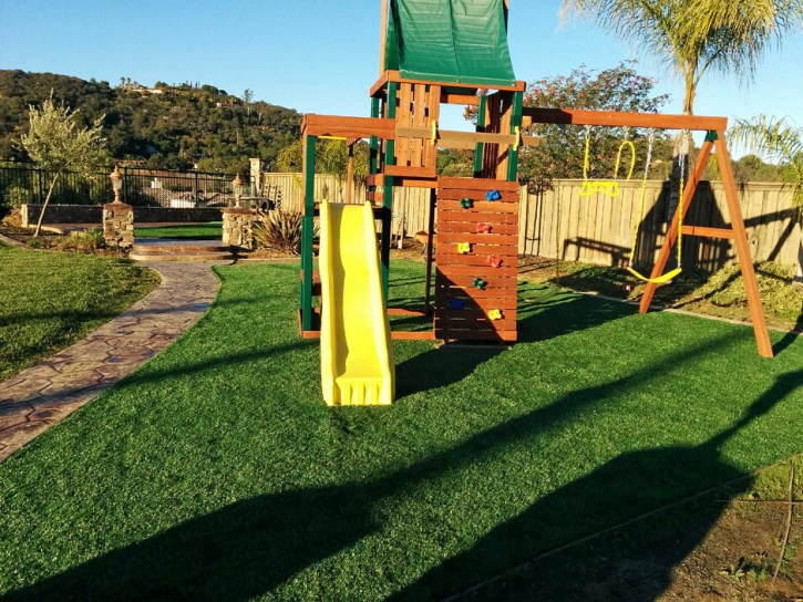 Artificial Lawn Riverdale Park, California Backyard Deck Ideas, Backyard Landscaping Ideas