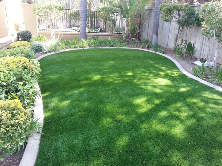 Artificial Lawn Riverdale Park, California Backyard Playground