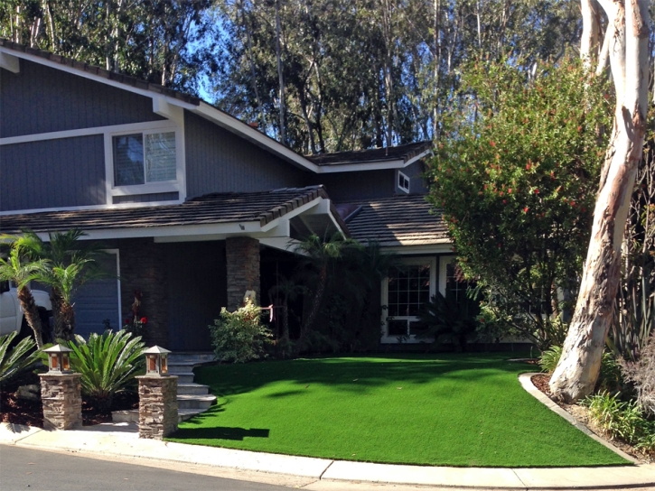 Artificial Lawn Salida, California Lawn And Landscape, Small Front Yard Landscaping