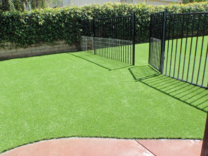 Artificial Lawn Valley Home, California Indoor Dog Park, Front Yard Ideas