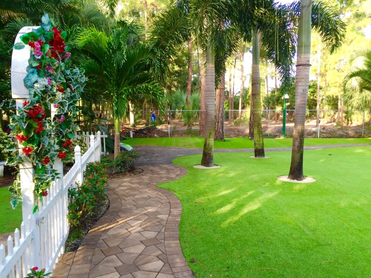 Artificial Turf Cost Bystrom, California Lawns, Backyard Ideas