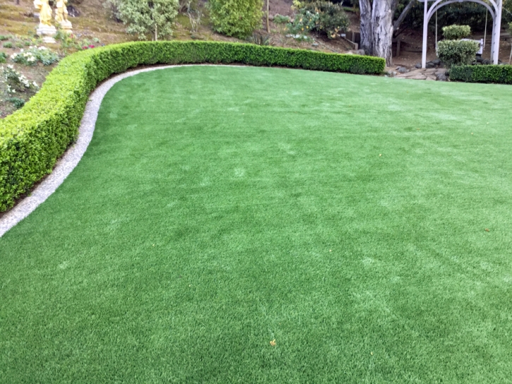 Artificial Turf Cost Keyes, California Landscaping Business, Small Backyard Ideas