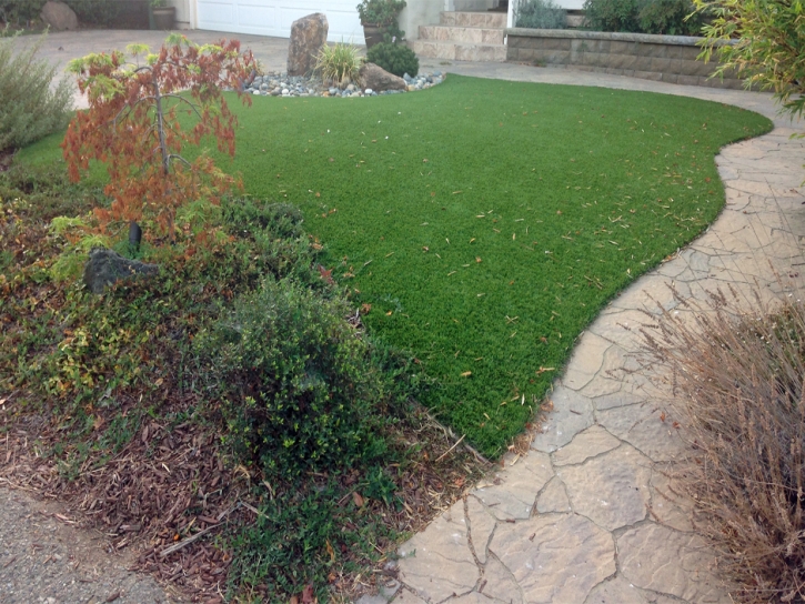 Artificial Turf Cost Salida, California Landscaping, Backyard Makeover