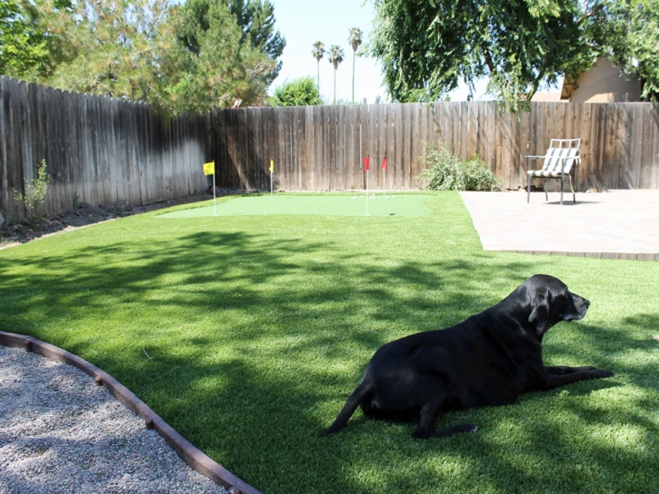 Artificial Turf Cost Shackelford, California Dogs, Grass for Dogs