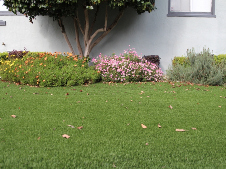 Artificial Turf East Oakdale, California Landscape Design, Front Yard Landscaping Ideas
