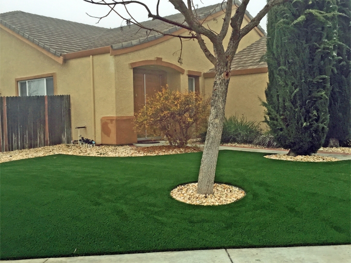 Artificial Turf Empire, California Backyard Playground, Landscaping Ideas For Front Yard