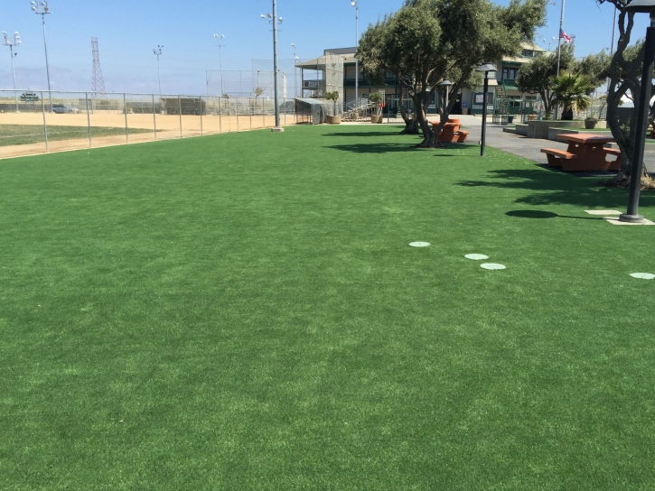 Artificial Turf Oakdale, California Roof Top, Recreational Areas