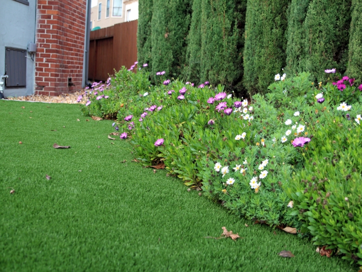 Artificial Turf Patterson, California Garden Ideas, Front Yard Landscaping