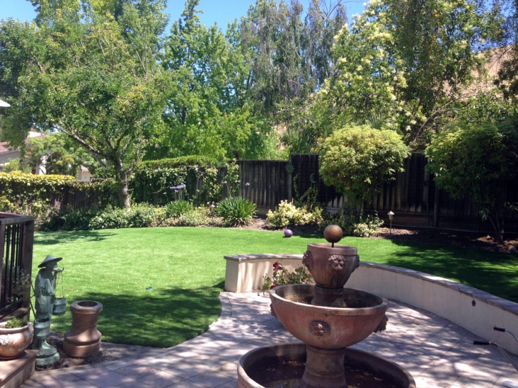 Best Artificial Grass Hughson, California Landscape Design, Backyard Designs
