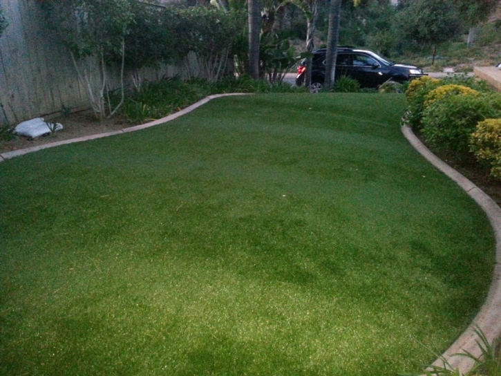 Best Artificial Grass West Modesto, California Landscape Rock, Front Yard Landscaping Ideas