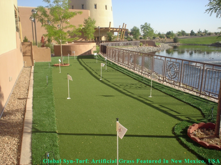 Fake Grass Bret Harte, California Garden Ideas, Backyards