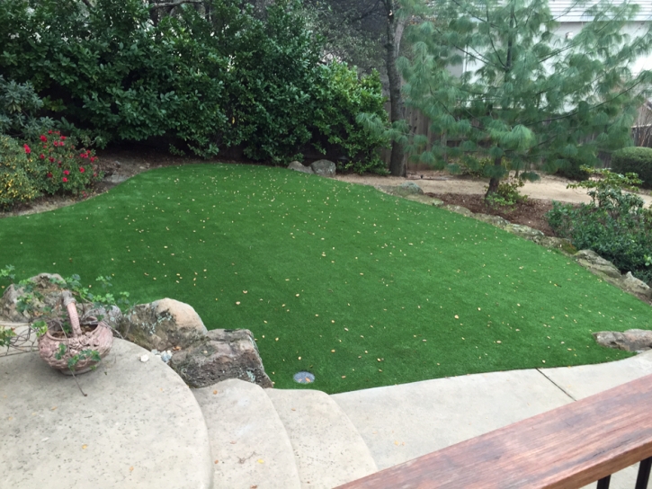 Fake Grass Carpet Bystrom, California Landscape Design, Backyard Makeover