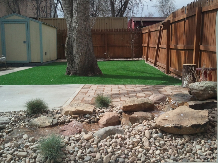 Fake Grass Carpet Hughson, California Landscape Design, Backyard Garden Ideas