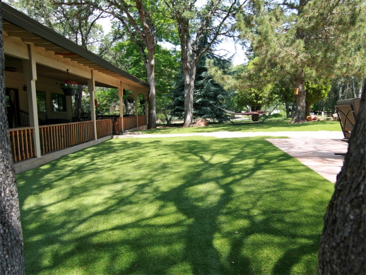 Fake Grass Carpet Riverbank, California Lawns, Backyard Design