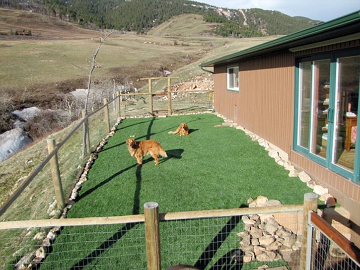 Fake Grass Carpet Shackelford, California City Landscape, Backyard Ideas
